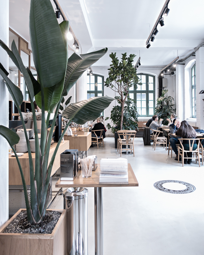 Desain Coffee Shop