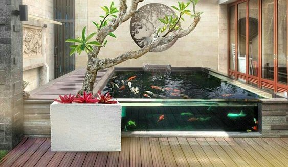 Desain Kolam Koi dalam Rumah 4